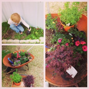 Jody played hookie from school after eating himself sick, so after picking him up, we did some more gardening. He was just as excited as I was about our new mint plant, petunias, and other goodies. This was our first visit to the plant nursery in Monticello and it was a lovely experience.